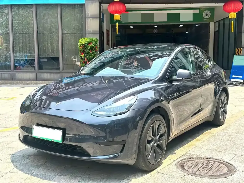 Tesla Model Y — фото 1