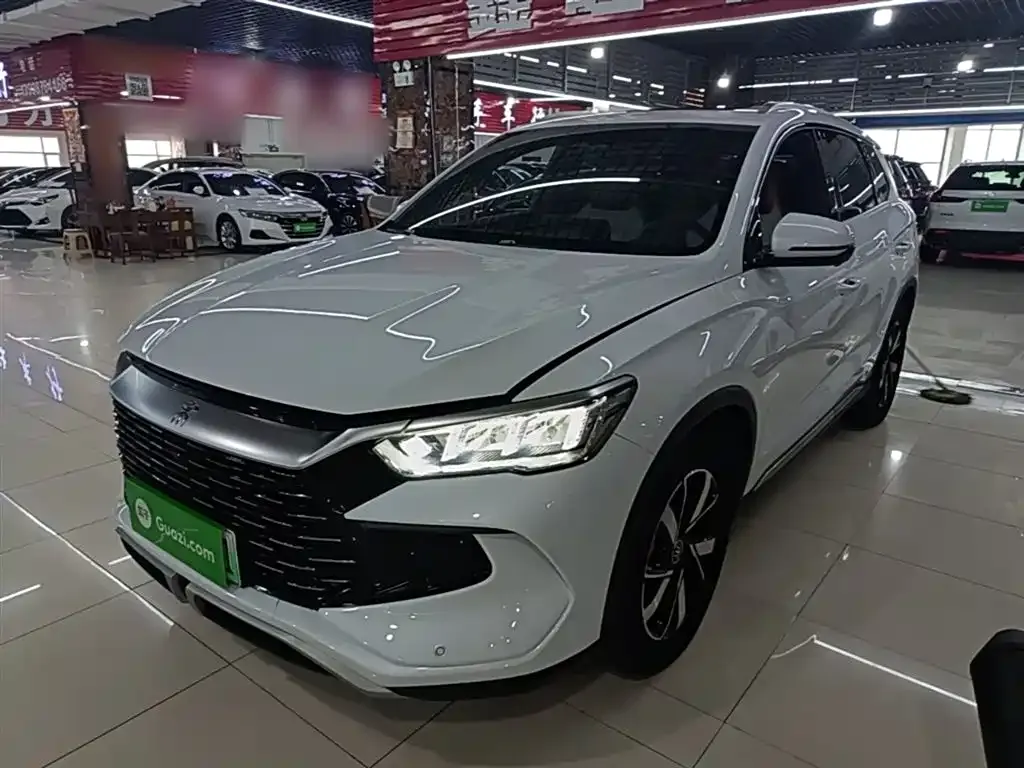 BYD Pro New Energy — фото 10