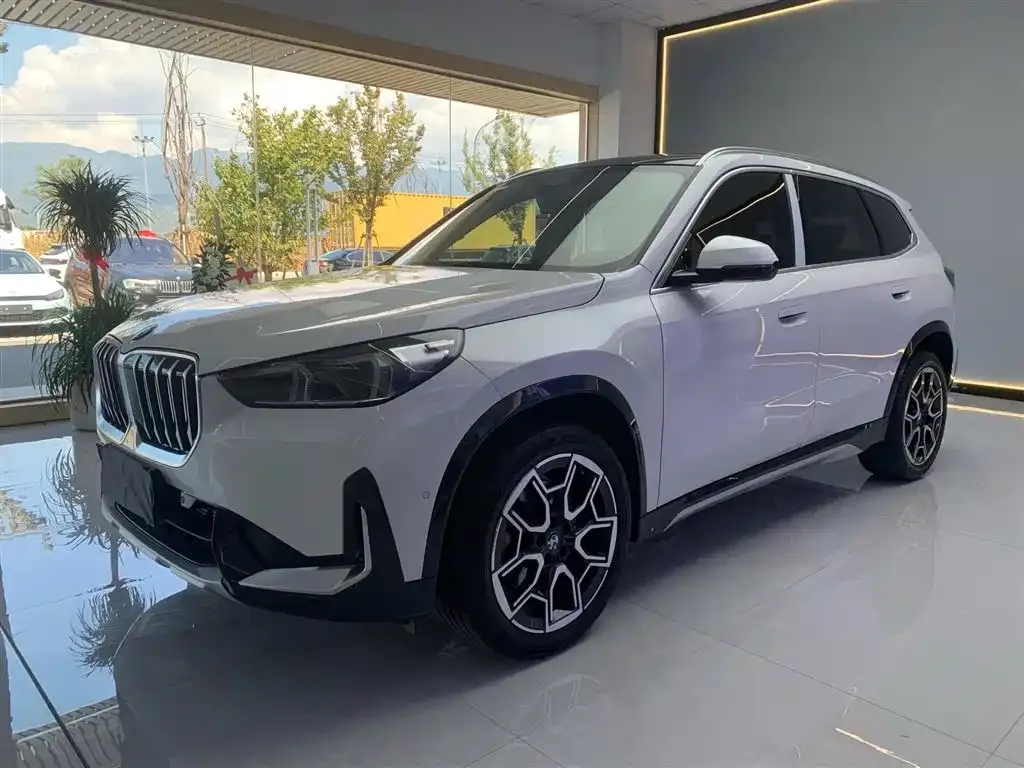 BMW X1 — фото 1