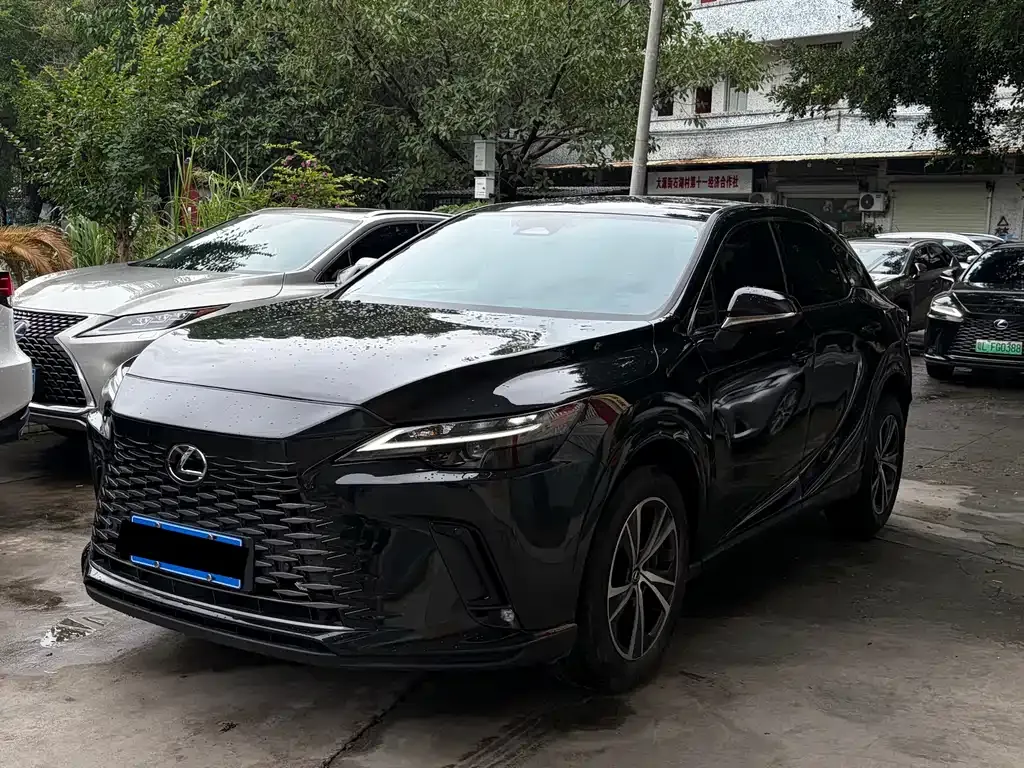 Lexus RX — фото 1