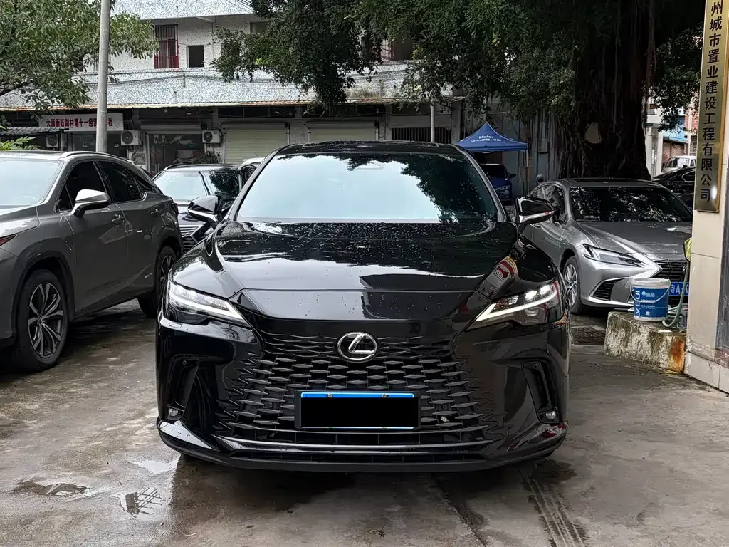 Lexus RX — фото 10