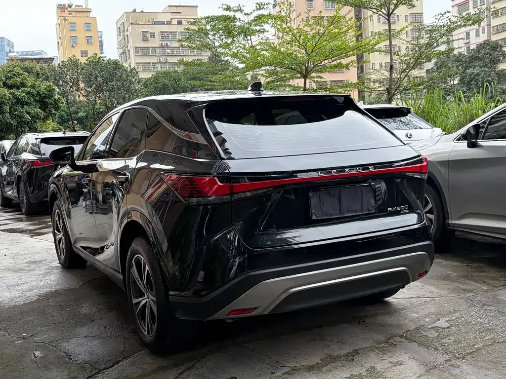 Lexus RX — фото 8