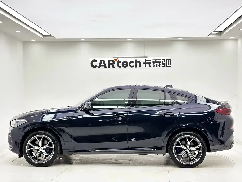 BMW X6 — фото 10