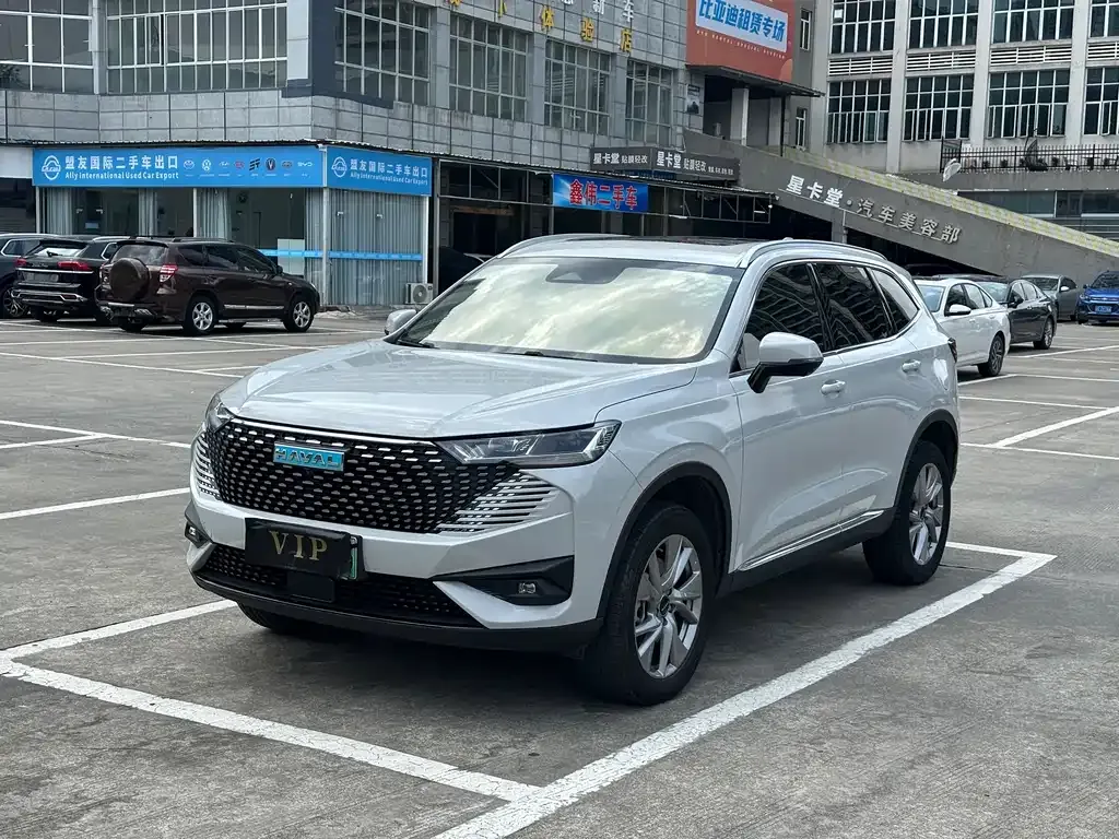 Haval H6 New Energy — фото 1