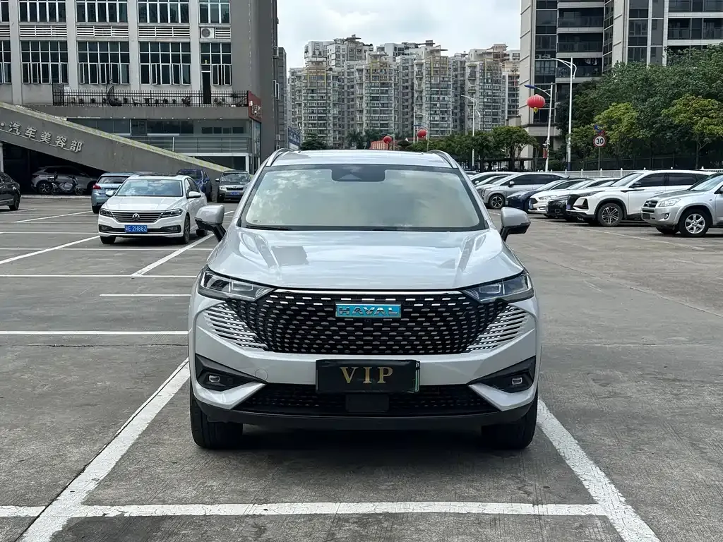 Haval H6 New Energy — фото 9