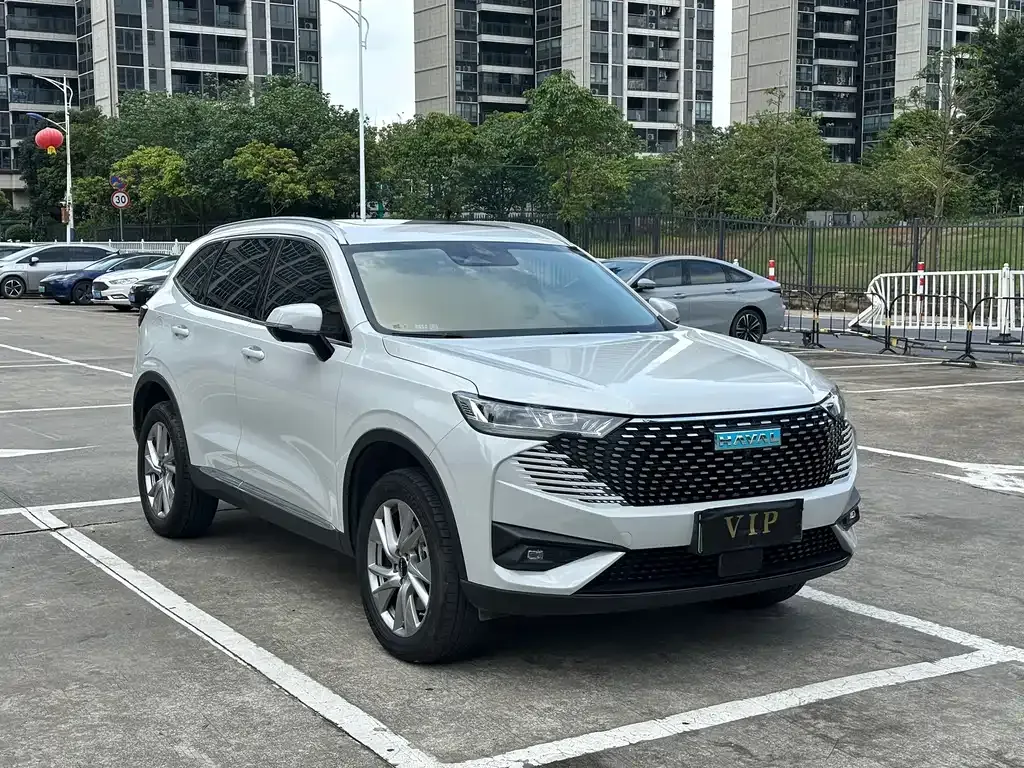 Haval H6 New Energy — фото 3