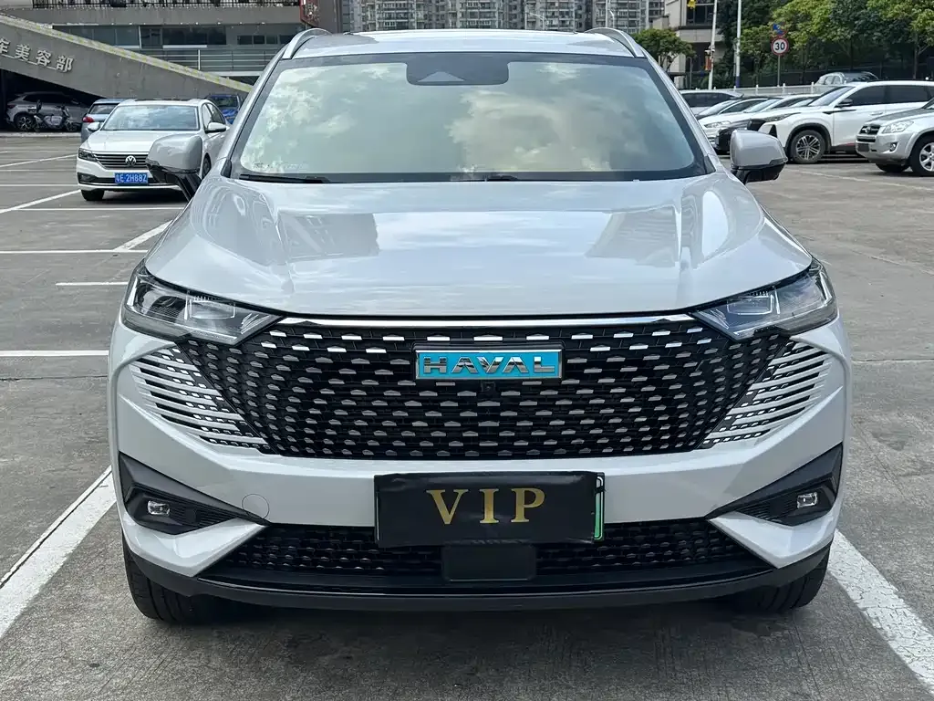 Haval H6 New Energy — фото 6