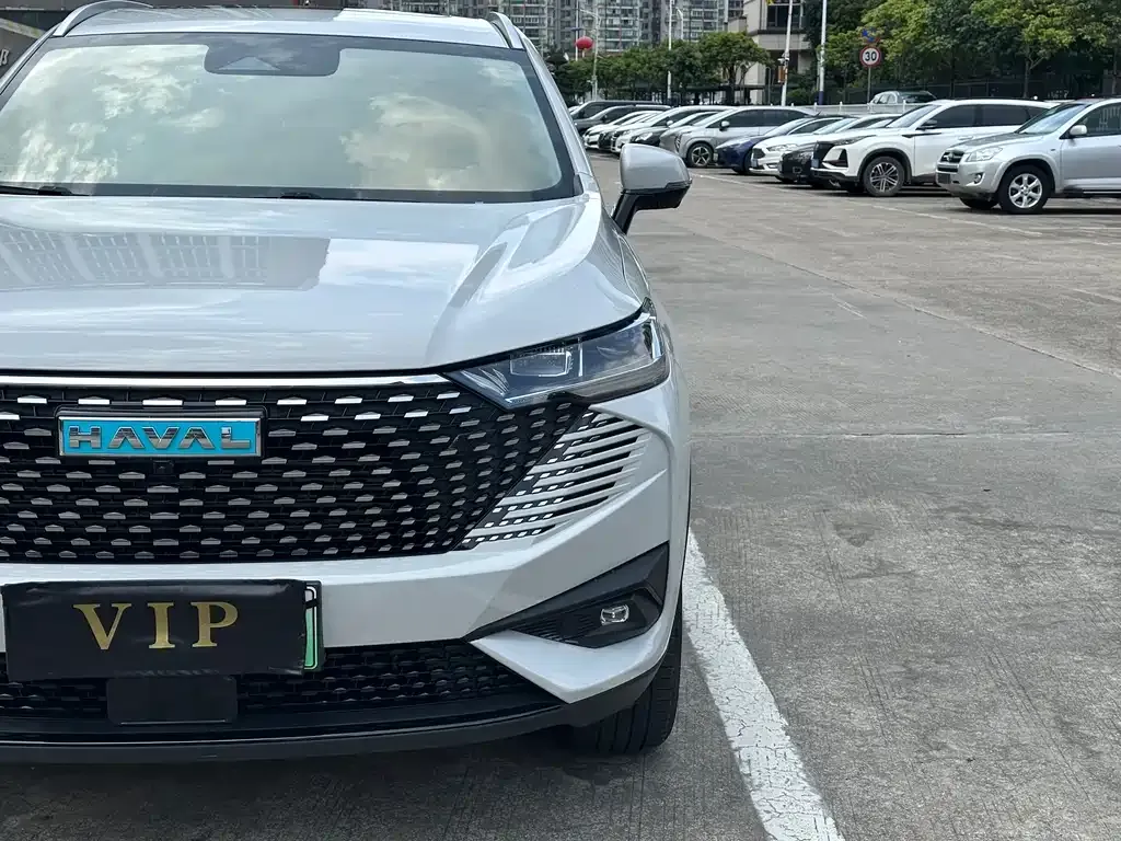 Haval H6 New Energy — фото 8