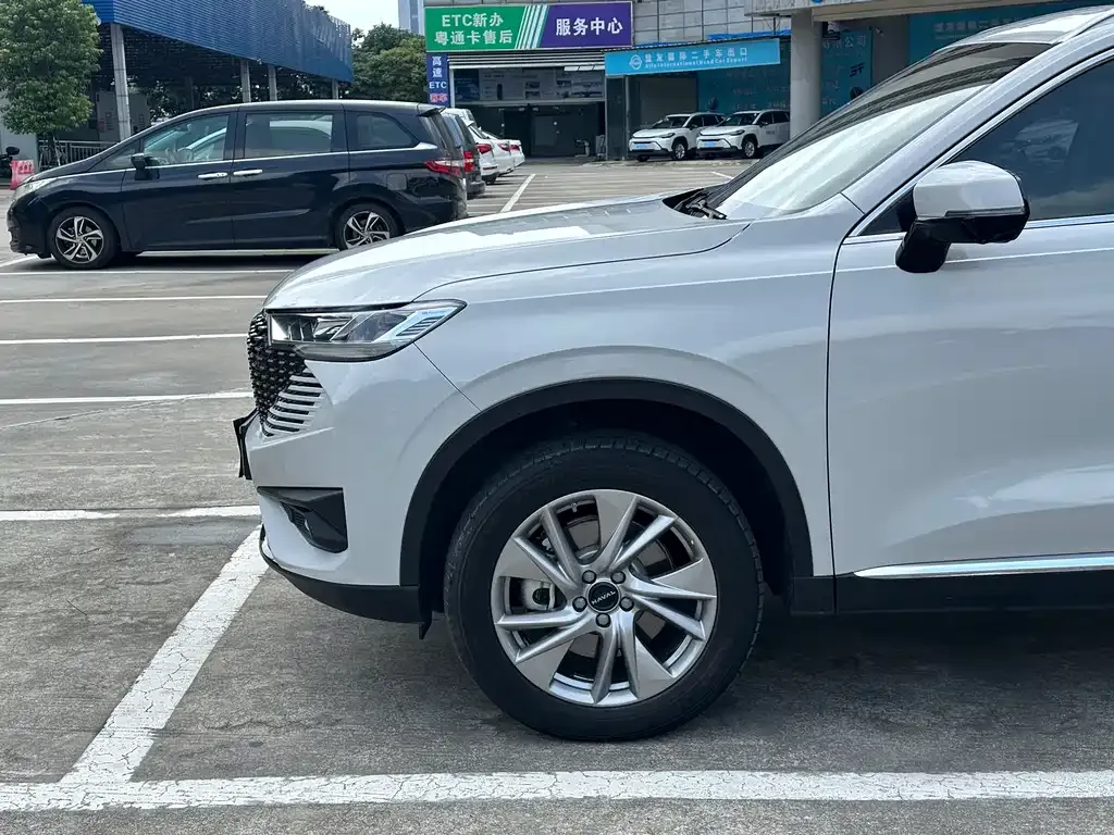 Haval H6 New Energy — фото 7