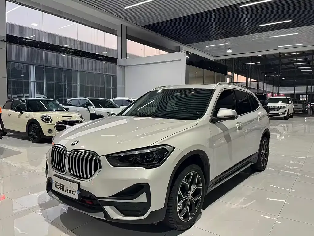 BMW X1 — фото 1