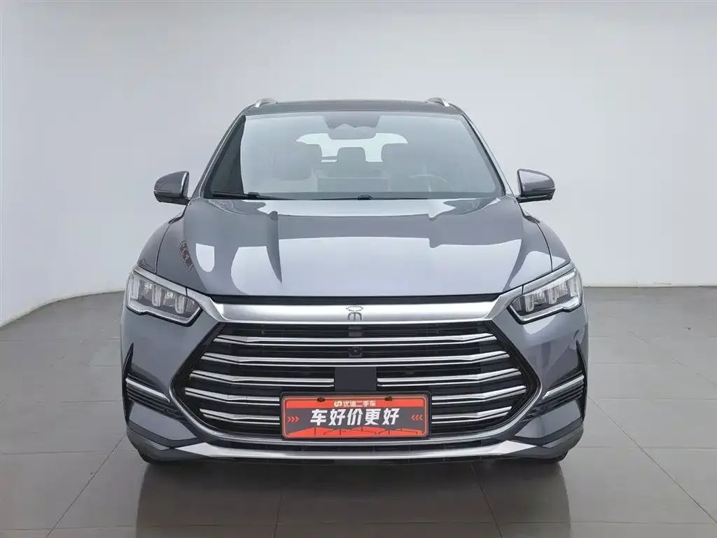 BYD Pro New Energy — фото 2