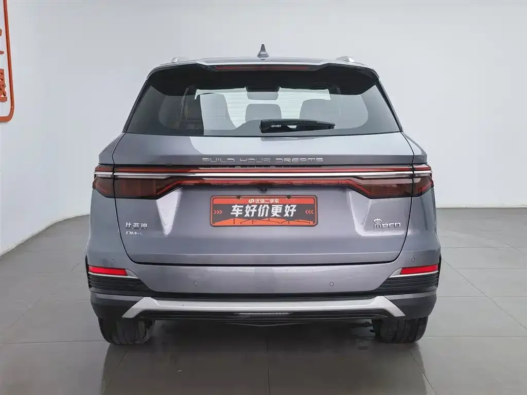 BYD Pro New Energy — фото 3