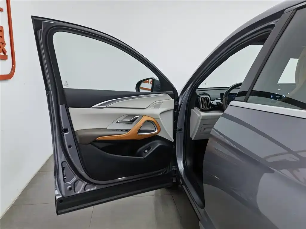 BYD Pro New Energy — фото 4