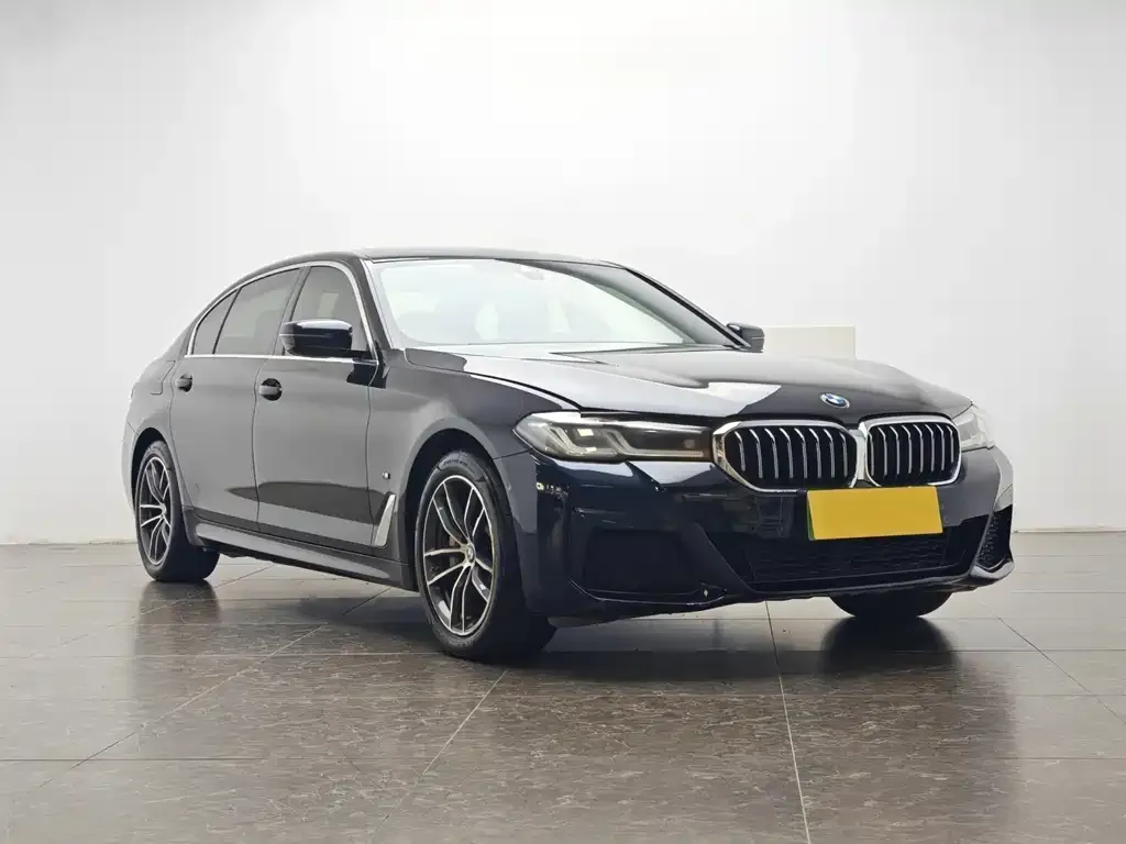 BMW 5 Series New Energy — фото 3