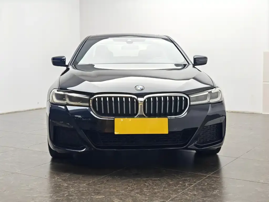 BMW 5 Series New Energy — фото 4