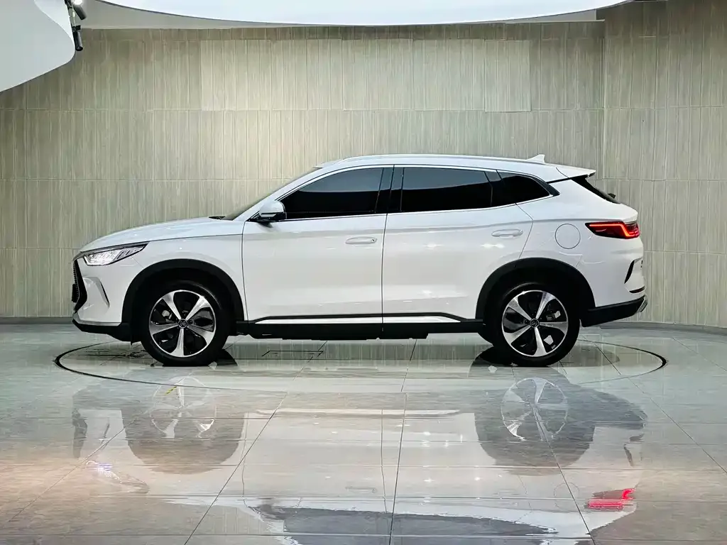 BYD PLUS New Energy — фото 4