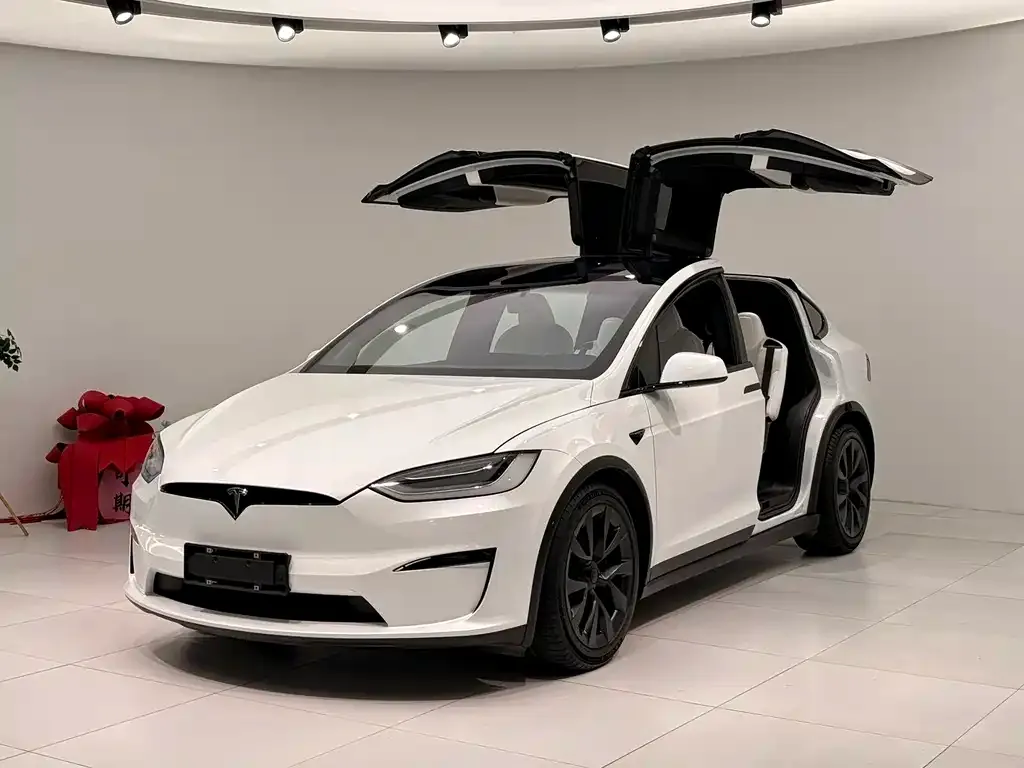 Tesla Model X — фото 1