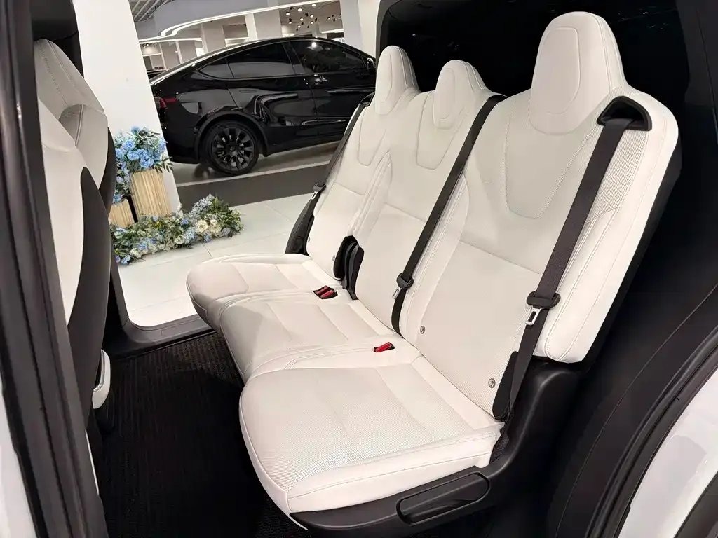 Tesla Model X — фото 3