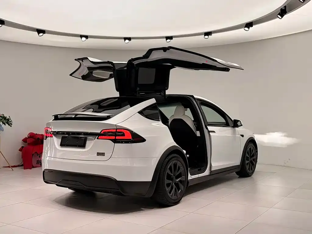 Tesla Model X — фото 5