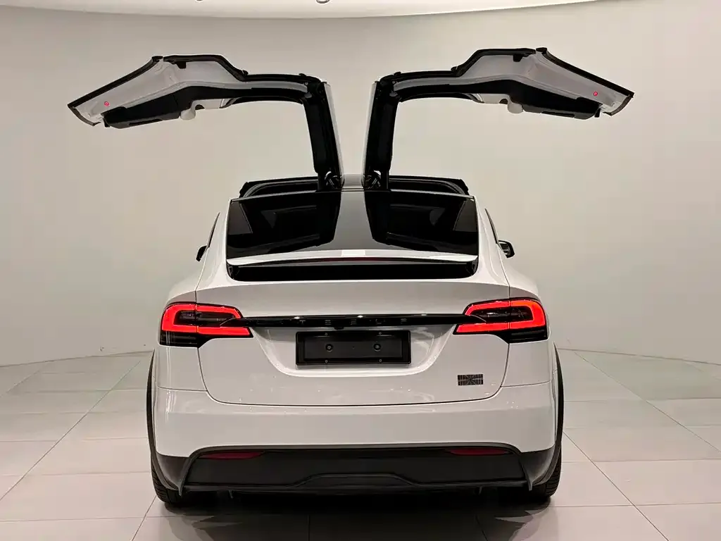 Tesla Model X — фото 6