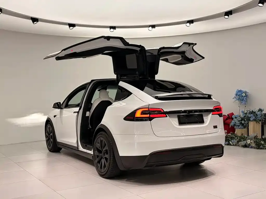 Tesla Model X — фото 10
