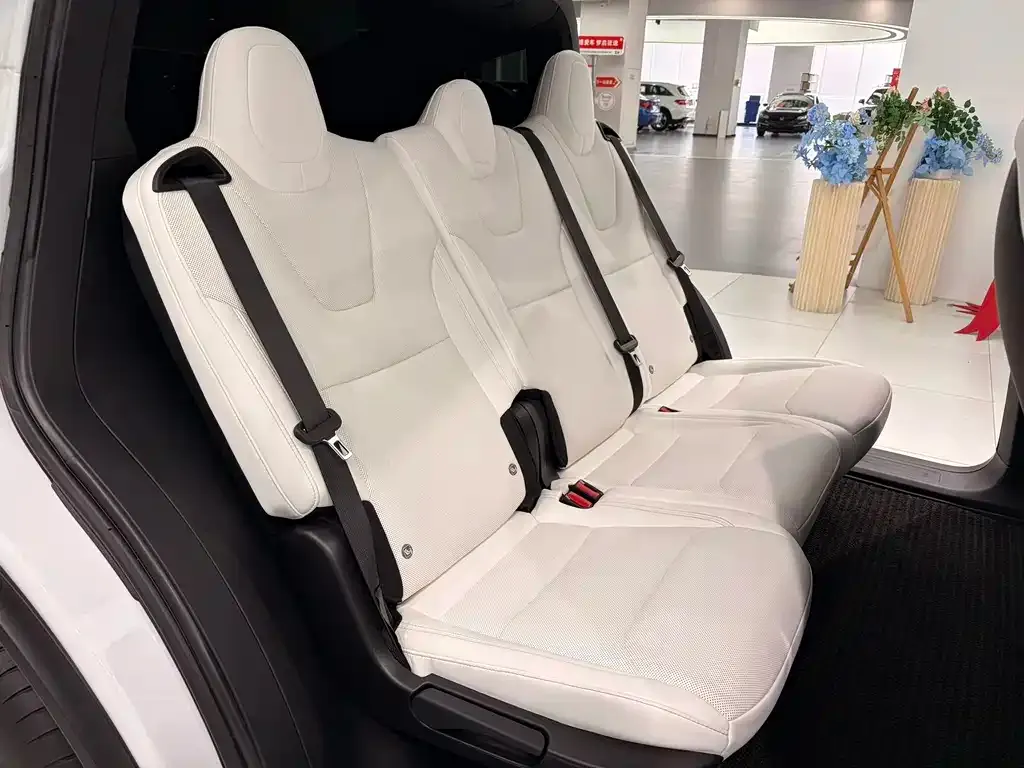 Tesla Model X — фото 8