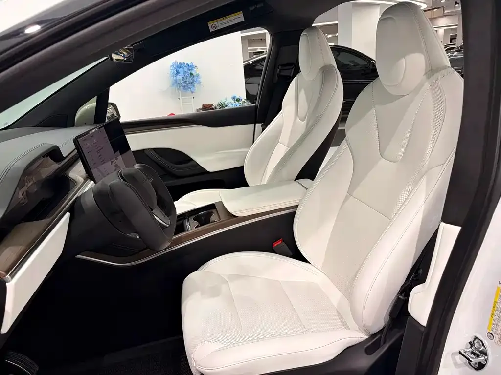 Tesla Model X — фото 9