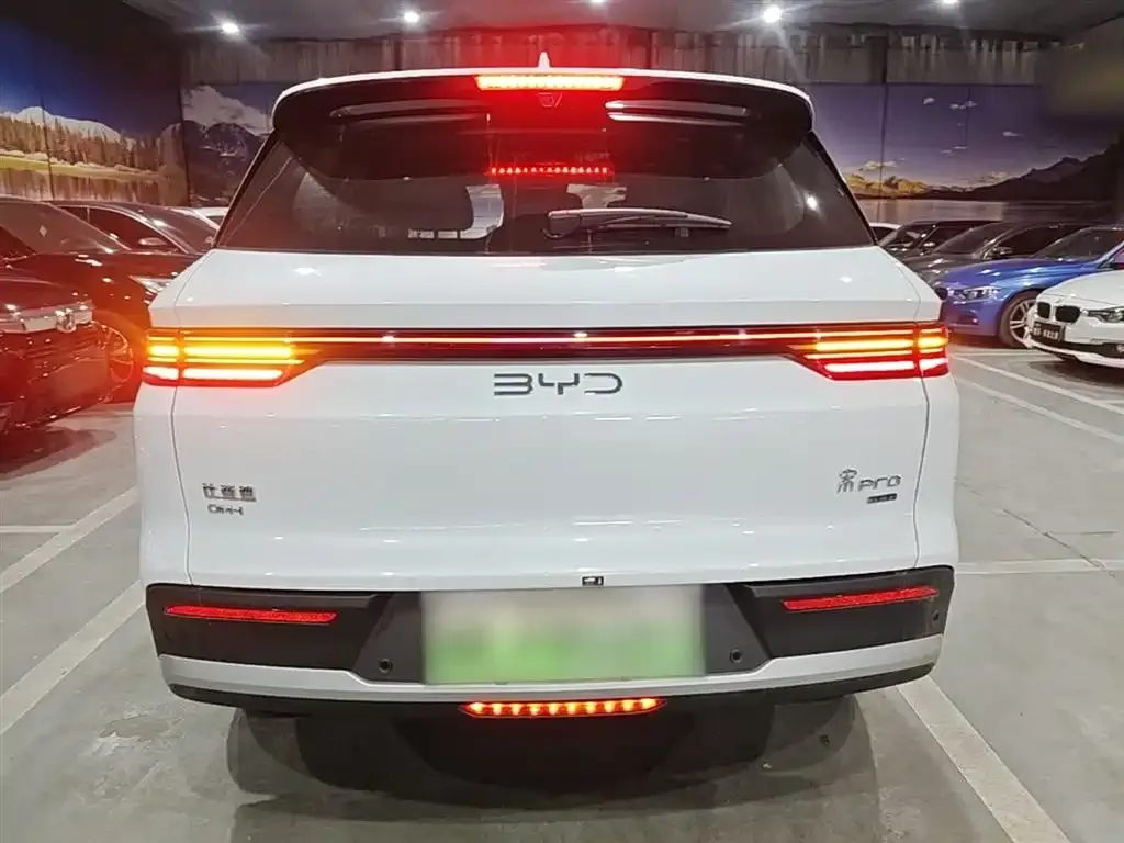 BYD Pro New Energy — фото 2