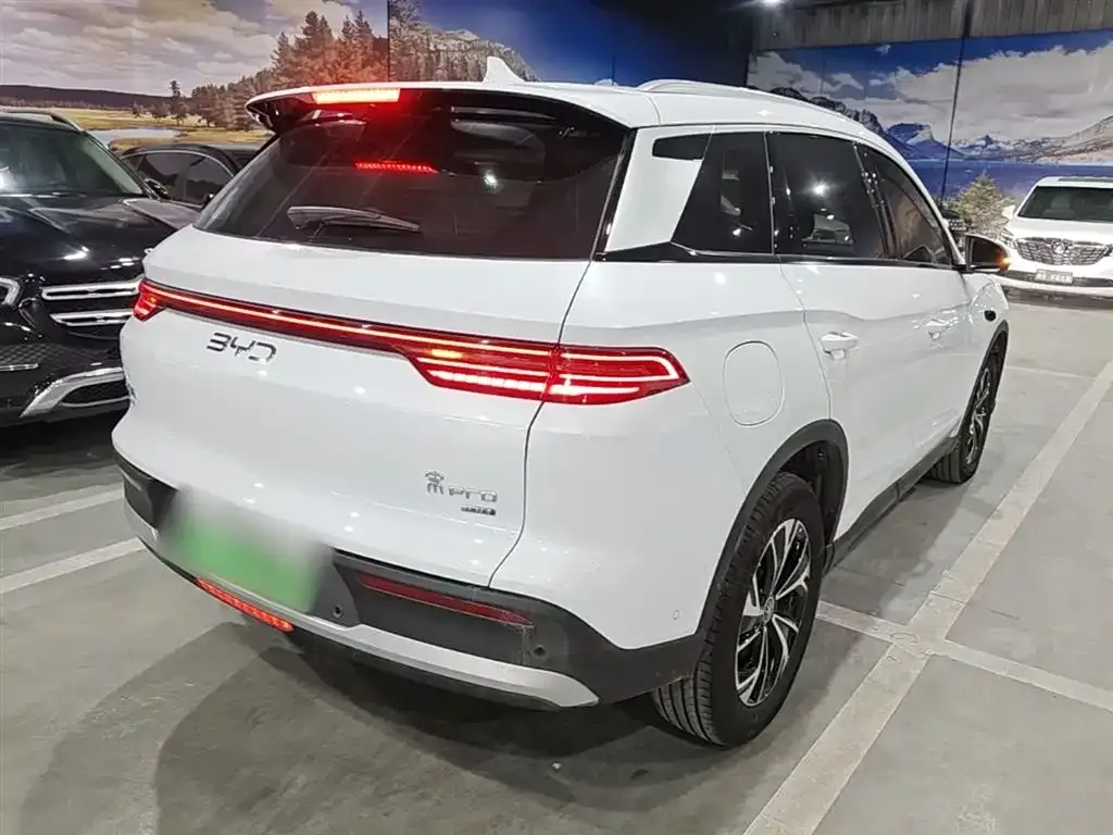 BYD Pro New Energy — фото 8
