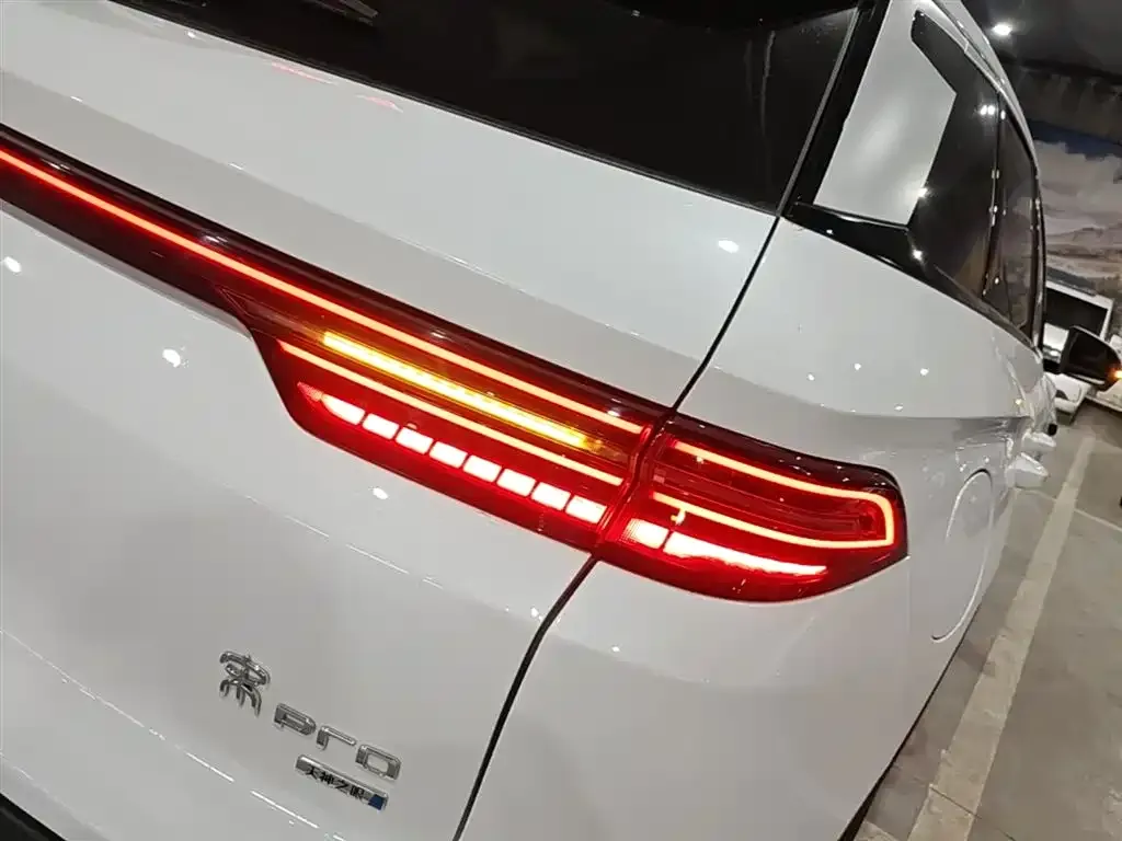 BYD Pro New Energy — фото 4