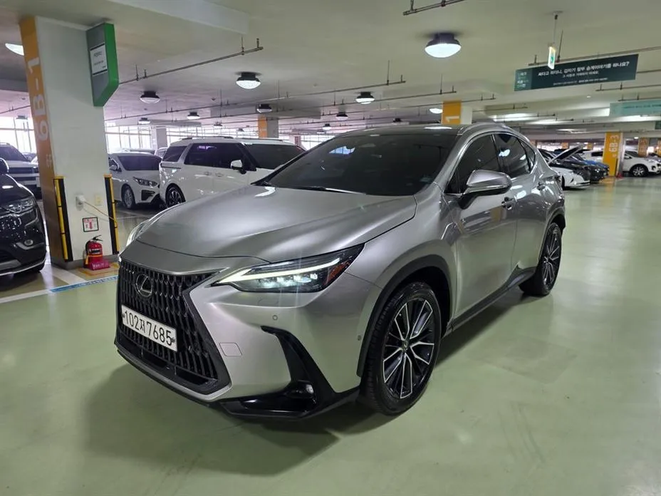 Lexus NX — фото 1