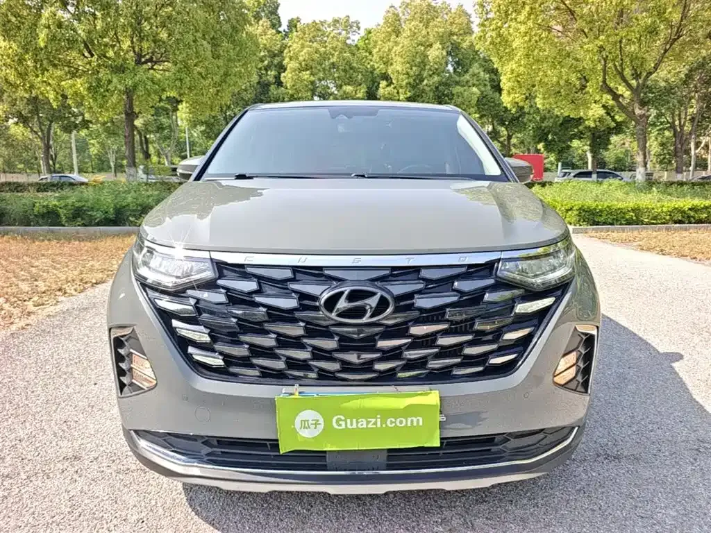 Hyundai Custo — фото 10
