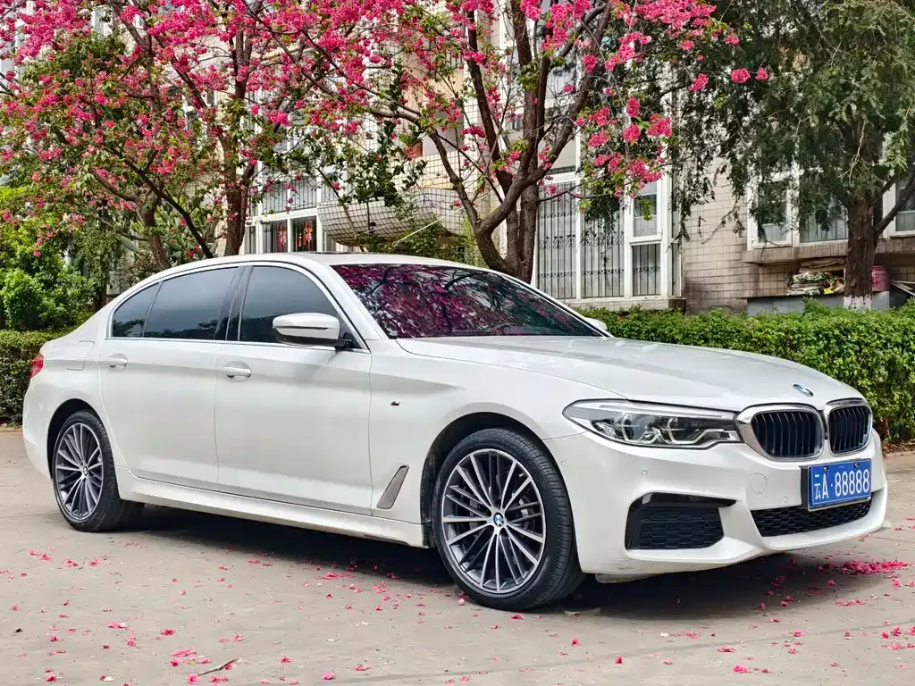 BMW 5 Series — фото 5