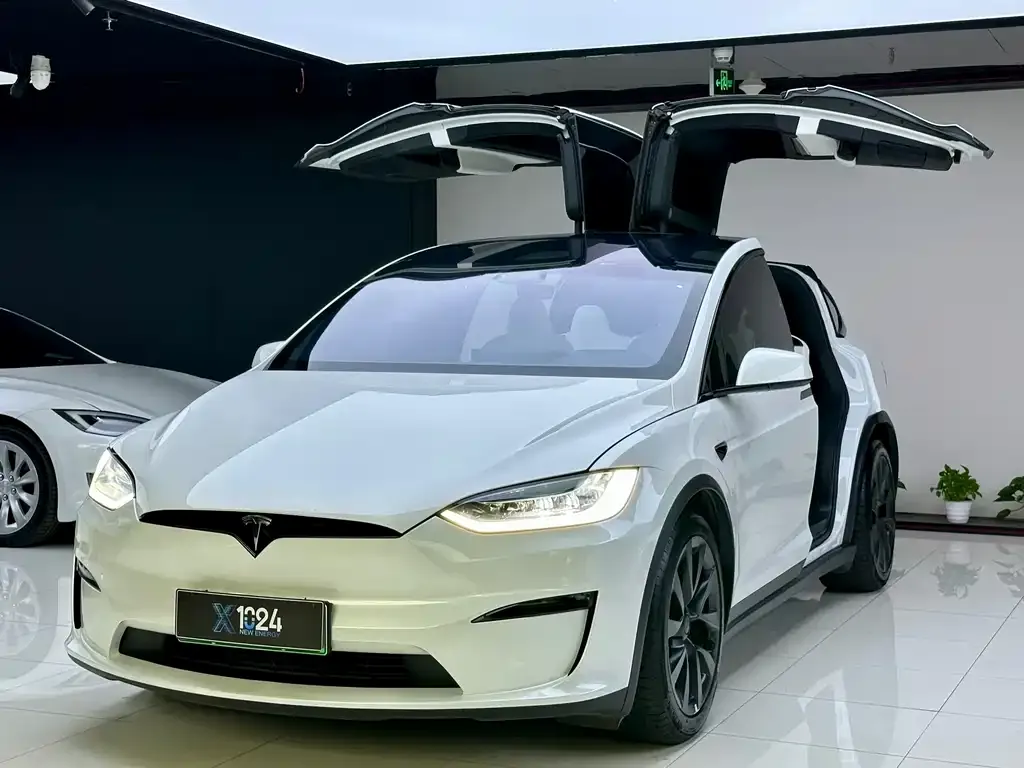 Tesla Model X — фото 1