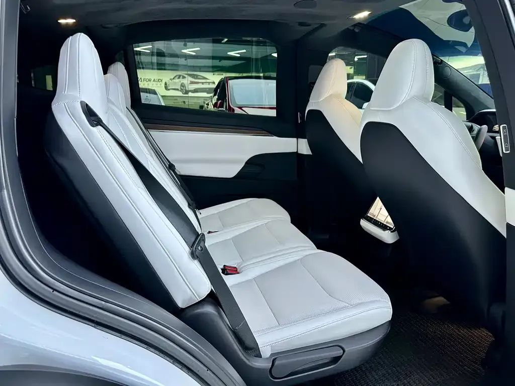 Tesla Model X — фото 8