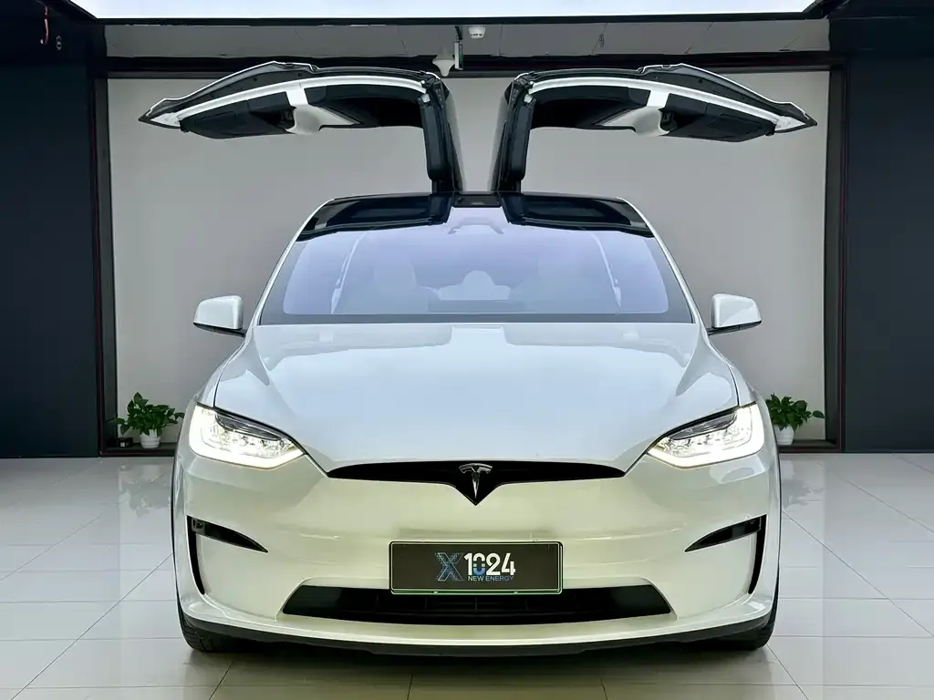 Tesla Model X — фото 2
