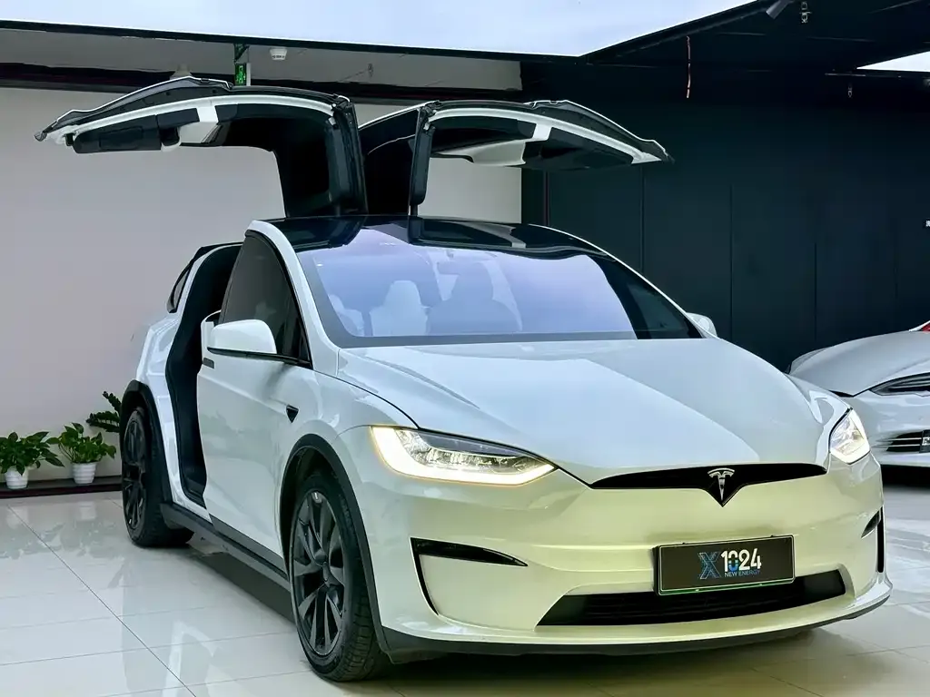 Tesla Model X — фото 10