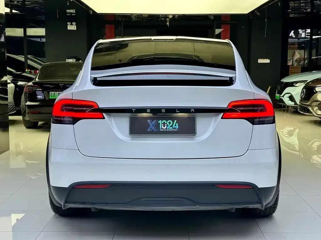 Tesla Model X — фото 6
