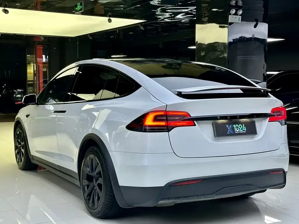 Tesla Model X — фото 7