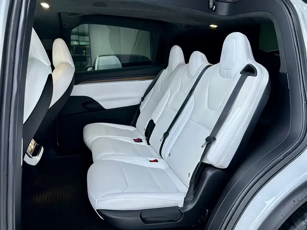 Tesla Model X — фото 9
