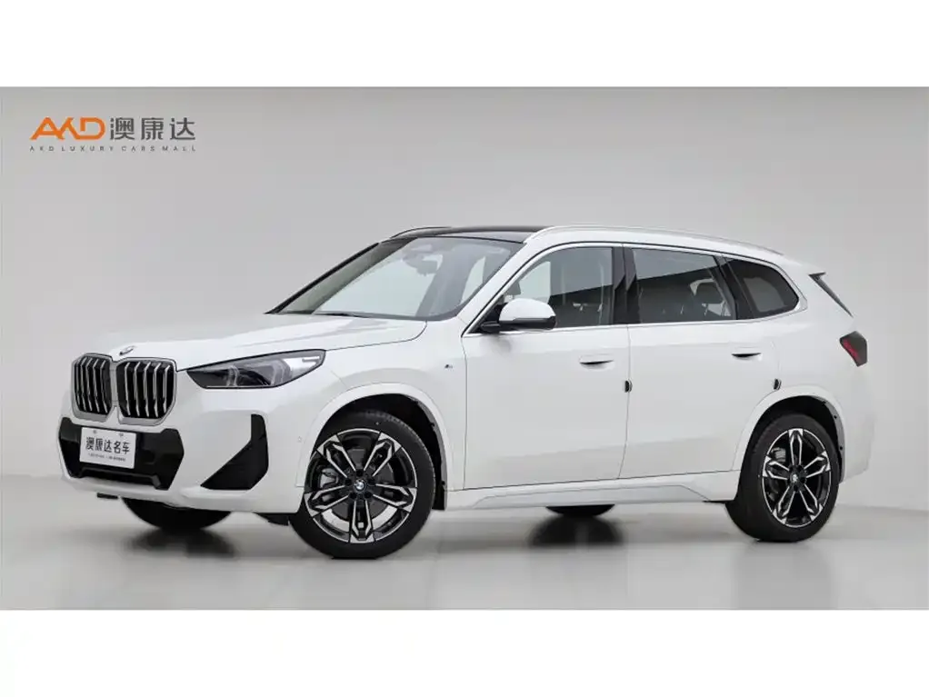 BMW X1 — фото 1