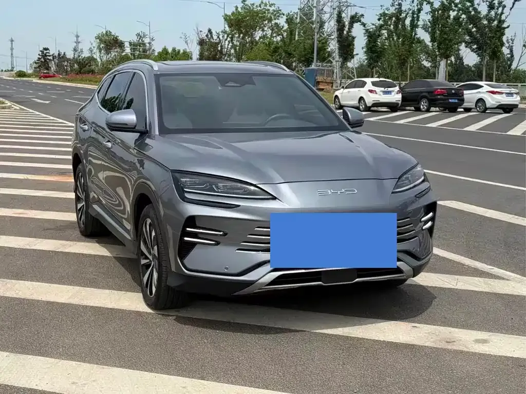 BYD PLUS New Energy — фото 2