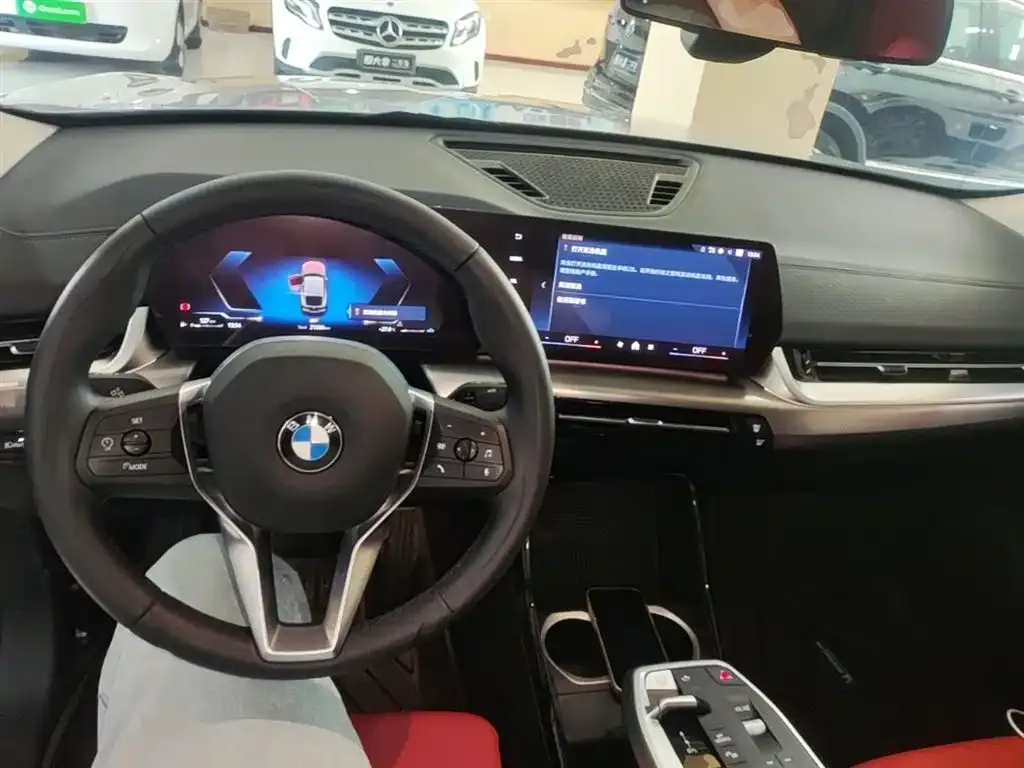 BMW X2 (Import) — фото 10