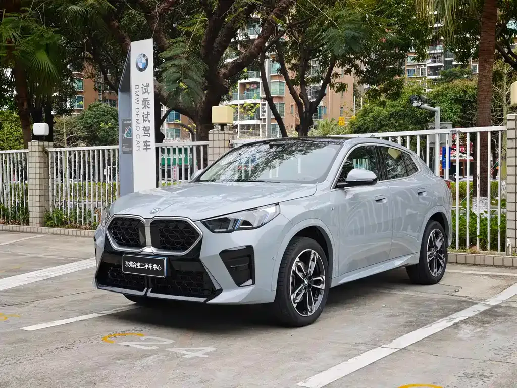 BMW X2 (Import) — фото 1