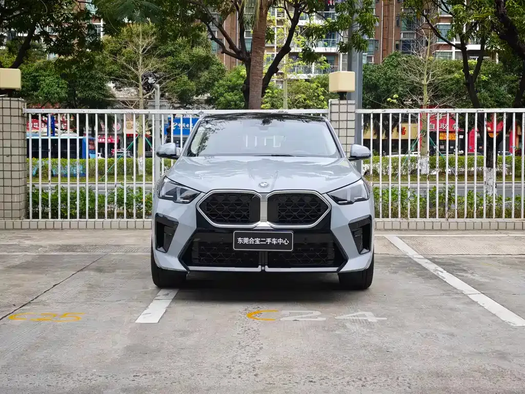 BMW X2 (Import) — фото 10