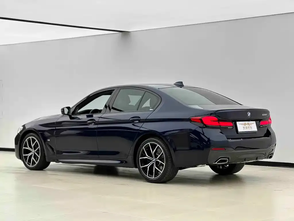BMW 5 Series (Import) — фото 2