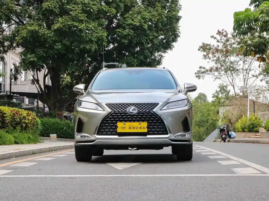Lexus RX — фото 10