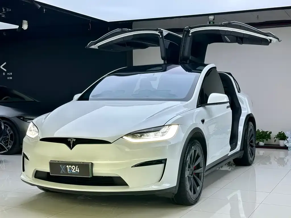 Tesla Model X — фото 1