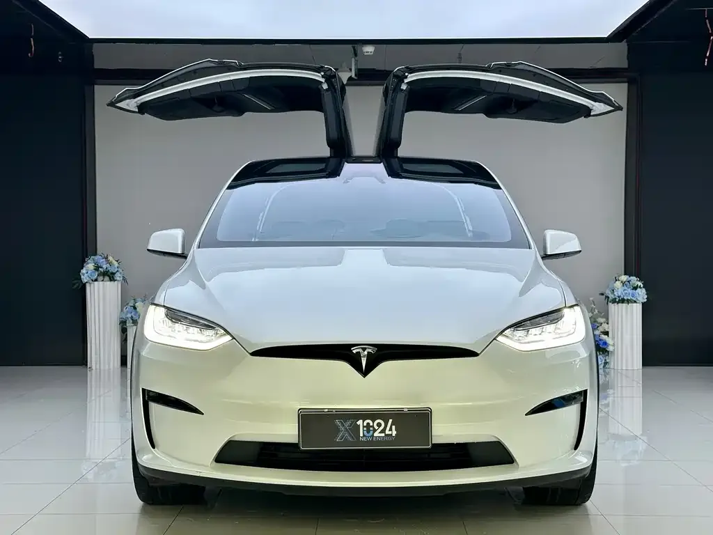 Tesla Model X — фото 2