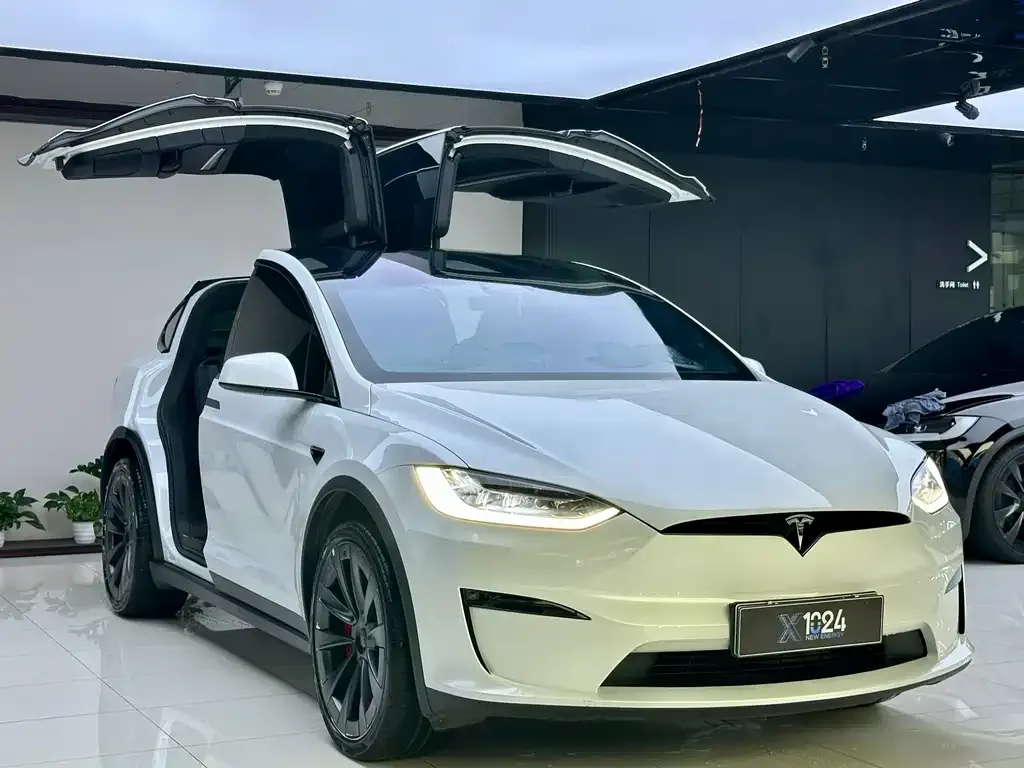 Tesla Model X — фото 8